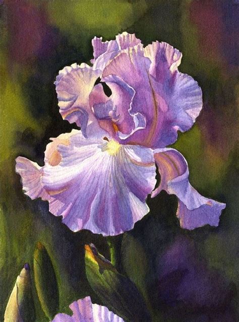 Purple Iris Art Watercolor Painting Print By Cathy Hillegas Etsy