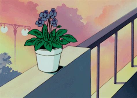 Flower Flowers Plant Aesthetic Sunset Fizzyf Aesthetic Anime Anime Scenery Anime