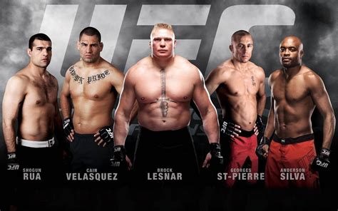 Download UFC Hall Of Famers Wallpaper Wallpapers Com
