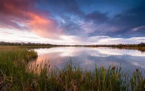 Canada Landscape Lake Grass Reeds Evening Sky Clouds Wallpaper