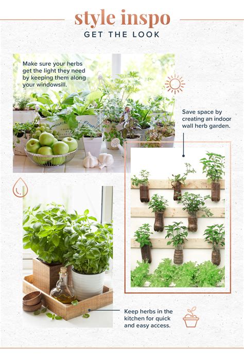 All You Need To Know About Indoor Herb Gardens The Daily Brunch