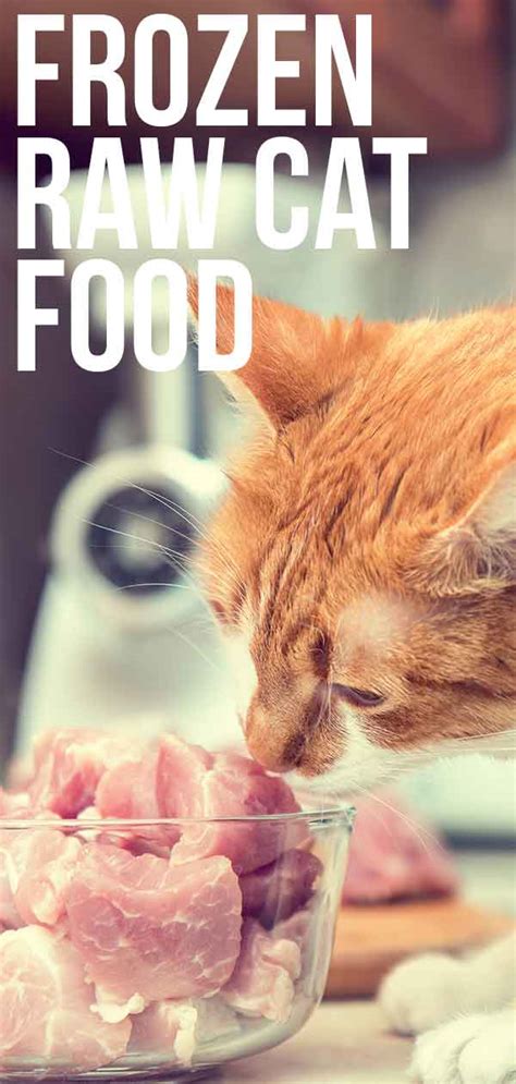30 Best Pictures Frozen Raw Cat Food Delivery Raw Cat Food Brands