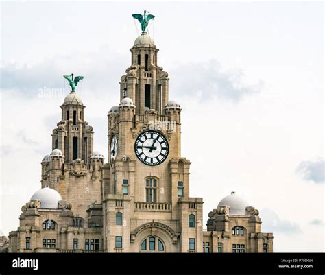 Close Up View Of Clock Towers Of Royal Liver Building With Cormorant