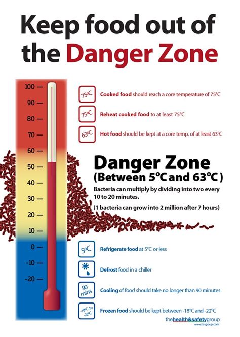 Never leave perishable food out for more than 2 hours (or 1 hour if it's hotter than 90°f outside). 3pmbj_product_image_large.jpg (678×950) | Danger zone ...
