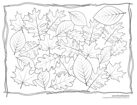 Free Printable Leaf Coloring Pages