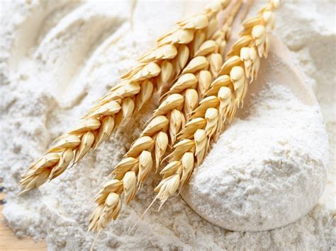 Bakery Equipment The Benefits Of A Flour Mill Benefits Of