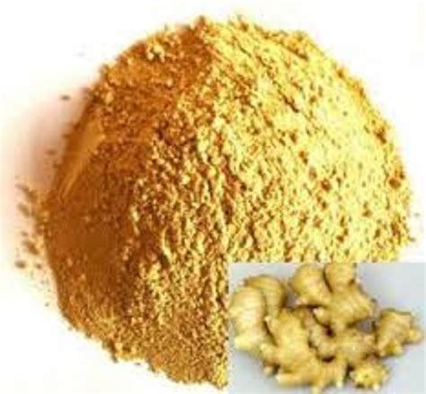 Ginger Extract Pack Size 25 Kg At Rs 1200kilogram In Jaipur Id