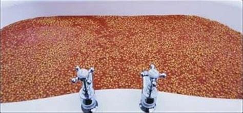 Where is chock full of beans in singapore? Who really gives a toss?: August 2010