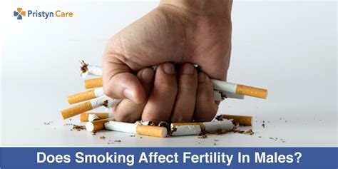 Does Smoking Affect Fertility In Males
