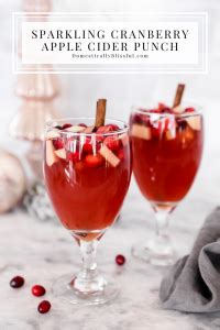 Sparkling Cranberry Apple Cider Punch Domestically Blissful