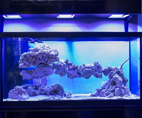Tips And Tricks On Creating Amazing Aquascapes Page 14 Reef Central
