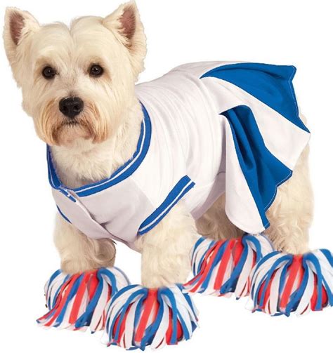 Halloween Dog Costume Ideas 32 Easy Cute Costumes For