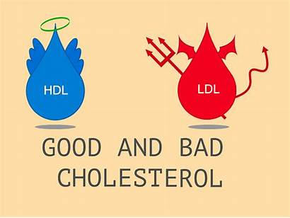 Cholesterol Hdl Too Much Bad Control Causes
