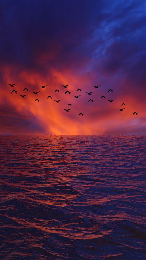 Download Wallpaper 1350x2400 Waves Sky Birds Horizon Sunset Sea
