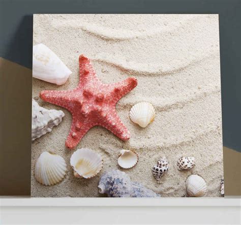 Starfish And Shells On Sand Sea Life Canvas Wall Art Tenstickers