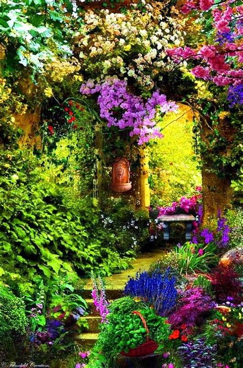 Best Images About Dedicated To Old Moss Womans Secret Garden Beautiful On Pinterest