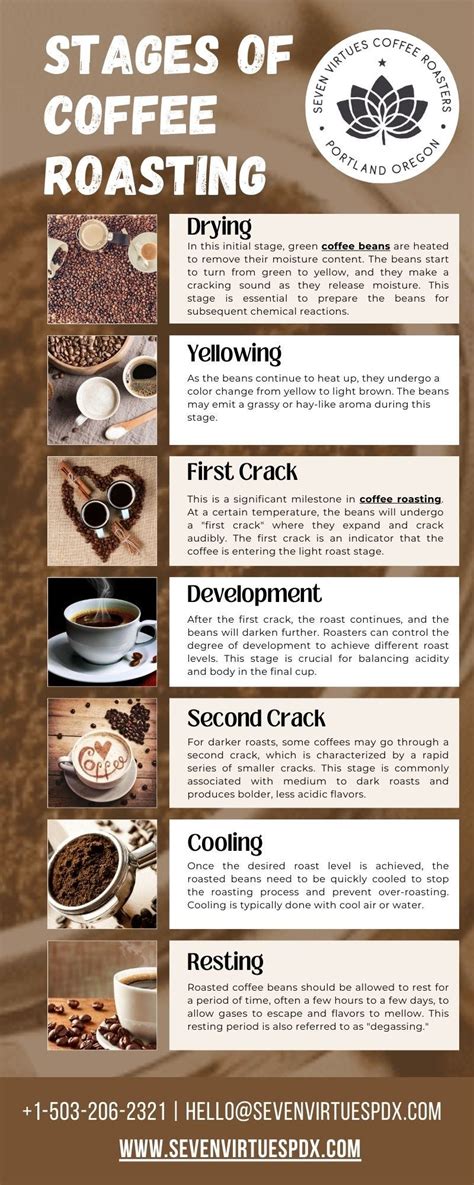 Stages Of Coffee Roasting Seven Virtues Coffee Roasters Medium