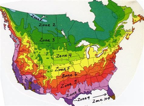 Usda colorado hardiness zone map for trees and plants above is the map of the usda colorado hardiness zones. Access Here lot info: Free vegetable garden plans zone 5