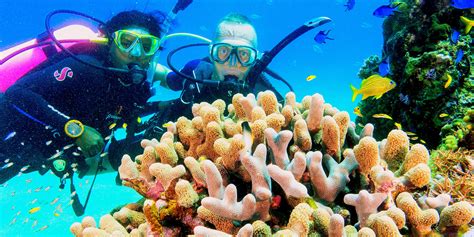 Learning To Dive In The Dominican Republic Our Top 5 Tips