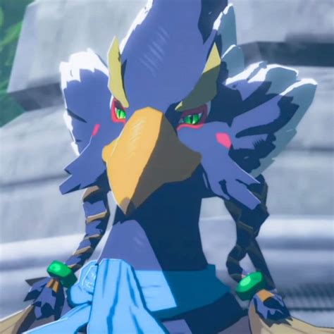 Revali Icon In 2023 Legend Of Zelda Breath Of The Wild Pretty Birds