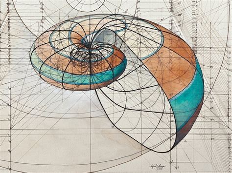 Coloring Book Celebrates Mathematical Beauty Of Nature With Hand Drawn