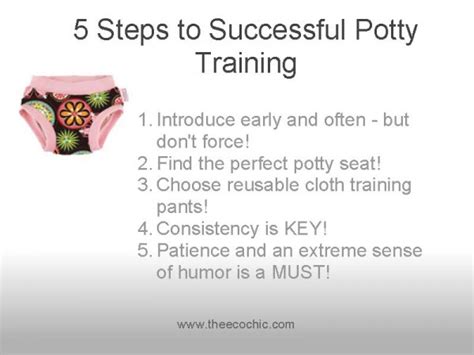 5 Steps To Successful Potty Training — A Tampa Lifestyle Travel