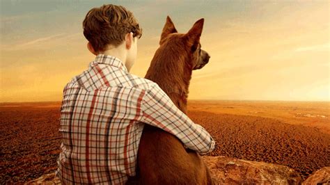 Based on the legendary true story of the red dog who united a disparate local community while roaming the australian outback in search of his long lost master. Watch: Here's your first look at 'Red Dog: True Blue ...