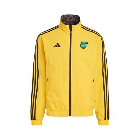 Chaqueta Adidas Jamaica Pre Match 2022 2023 Bold Gold Black Fútbol