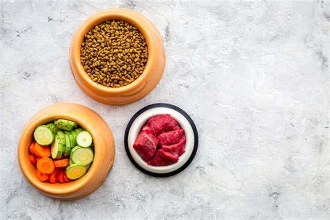 Fresh raw food is real food for cats and dogs. The 25 Best Raw Cat Food of 2020 - Cat Life Today