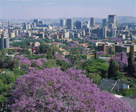 Here Are The Top 10 Wealthiest African Cities You Must See Before You Die Page 9 Of 11