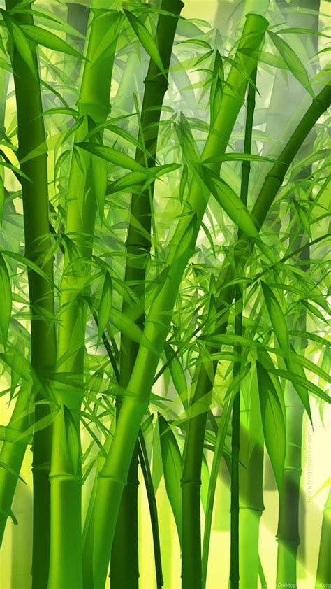 Bamboo Desktop Background
