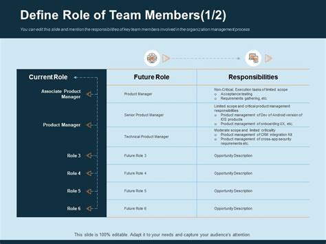 Define Role Of Team Members Responsibilities Ppt Gallery Presentation