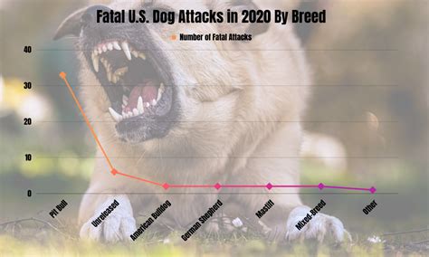 Essential Statistics On Dog Attacks In The United States