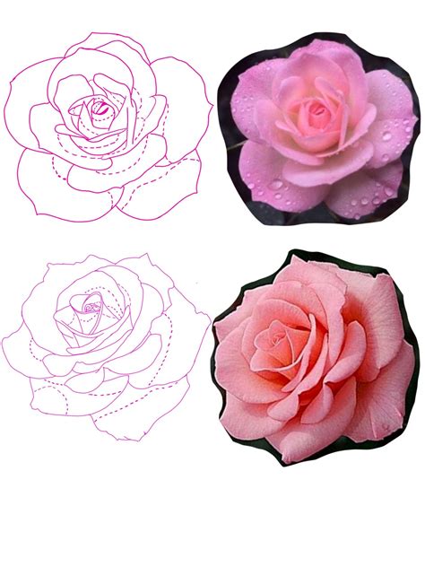 Pin By Roberto Bencomo On Flores Rosas In 2021 Tattoo Stencil