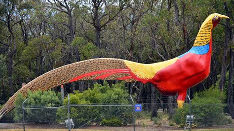 Australias Best New Big Things And Roadside Attractions Escape
