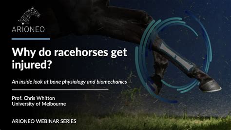 Why Do Racehorses Get Injured An Inside Look At Bone Physiology And