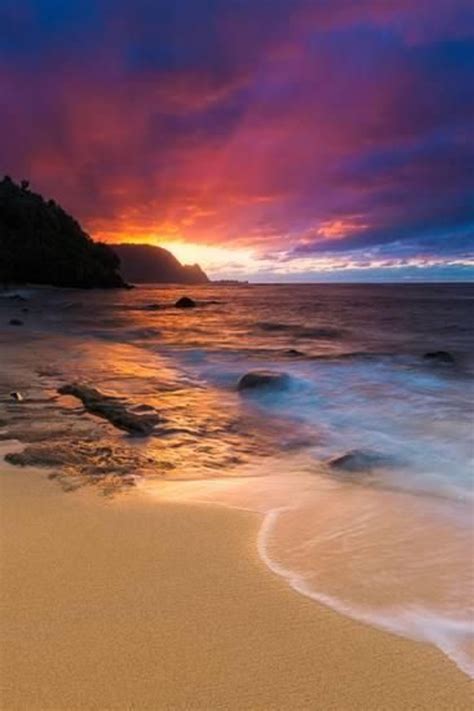 Enjoy The Palm Life Usapalmcom Beautiful Beach Pictures Sunset
