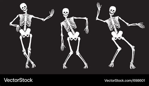 Skeletons Royalty Free Vector Image Vectorstock