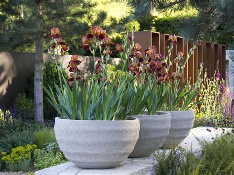 20 Ideas For Using Large Garden Containers Large Garden