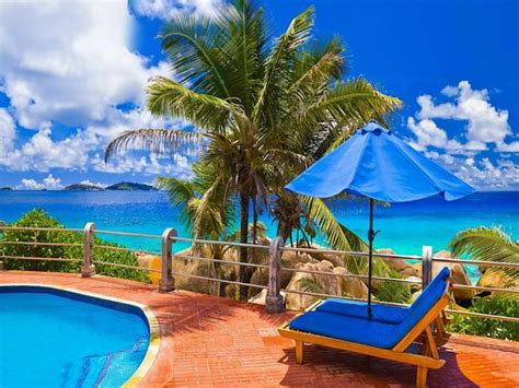 Sitting Pretty Poolside Lounge Vacation Holiday Palm Tropical Pool Sky Hd Wallpaper Peakpx