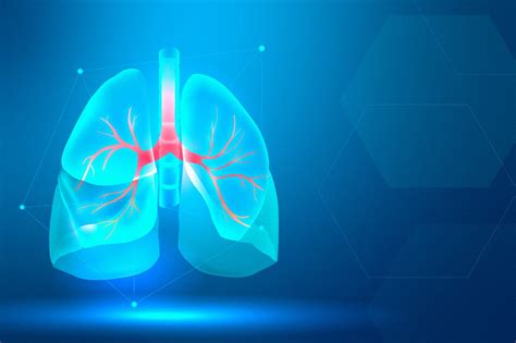 Lung Cancer Screening Information About Tests And Procedures