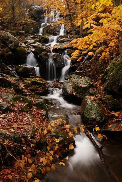 Autumn Below Dark Hollow Falls Shenandoah National Park Flickr