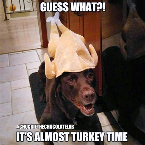 Almost Turkey Time Imgflip