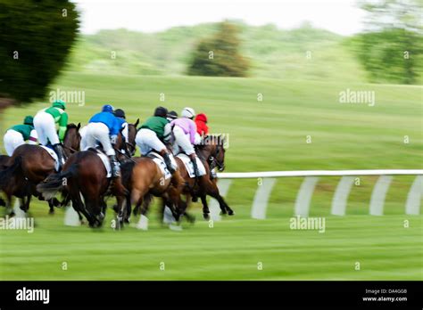 Racehorse Hi Res Stock Photography And Images Alamy