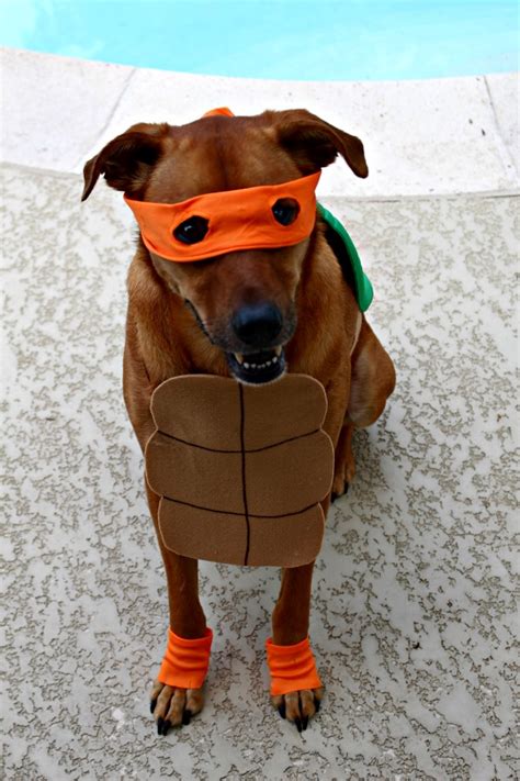 Ninja Turtle Poop Emoji Costume Diy Dog Costumes