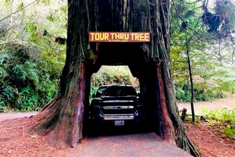 Drive Thru Tree California Travel Redwood National Park Klamath