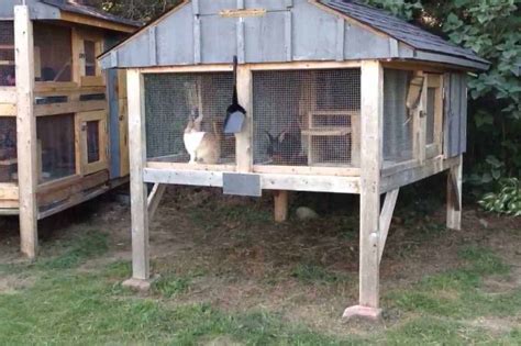 30 Diy Rabbit Cage Plans Indoor And Outdoor