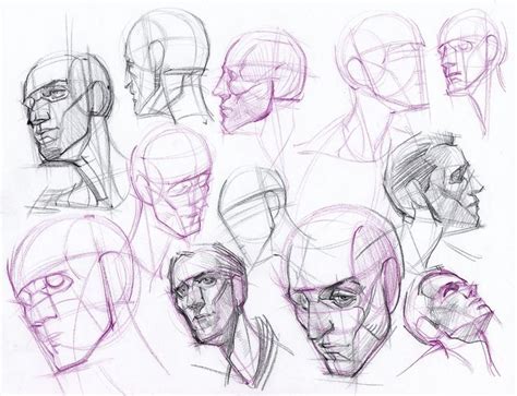 Figuredrawing Info News Drawing Heads Figure Drawing Sketches