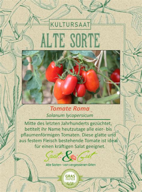 Alte Sorte BIO Tomate Roma Saat Gut
