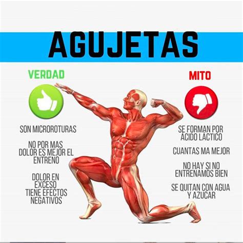 Hallo Appetit Hurrikan que son las agujetas y porque se producen